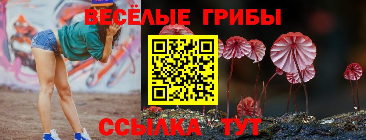 Саянск  Псилоцибиновые грибы мицелий  Вход с VPN 